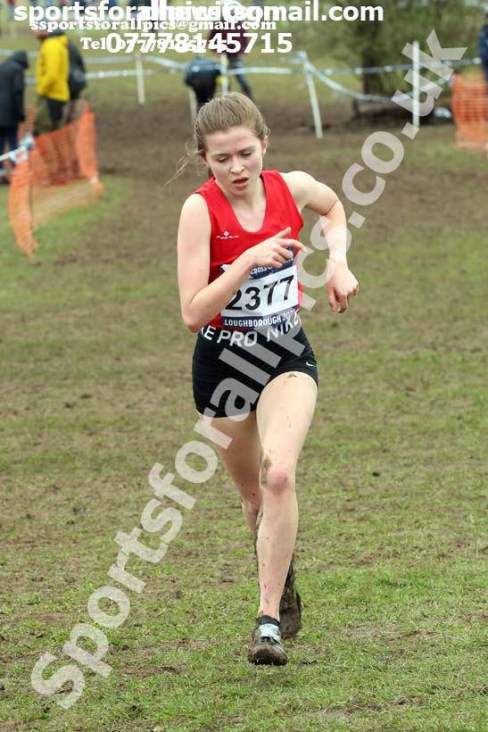Womens under-20s, 2020 British Athletics Inter Counties Cross Country Champs., Prestwold Hall, Loughborough. Photo: David T. Hewitson/Sports for All Pics